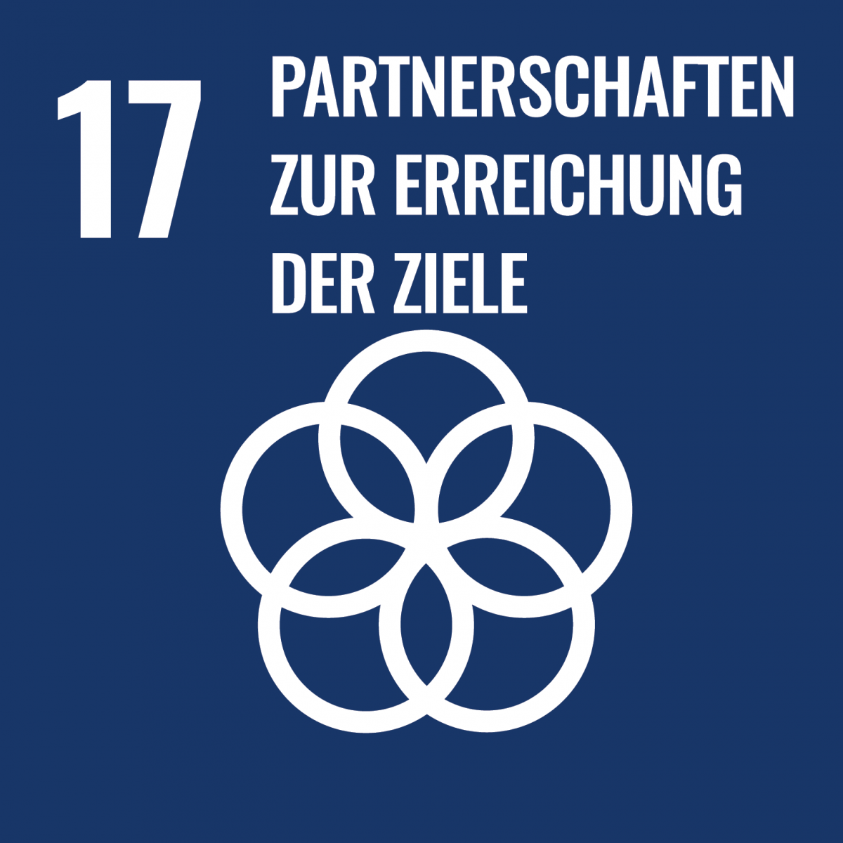 Sdg17
